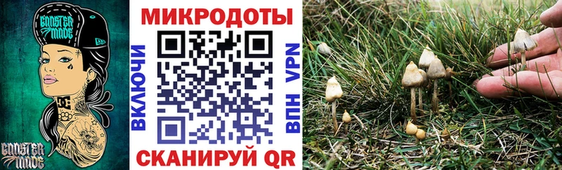 Псилоцибиновые грибы MAGIC MUSHROOMS  omg ссылки  Любань 
