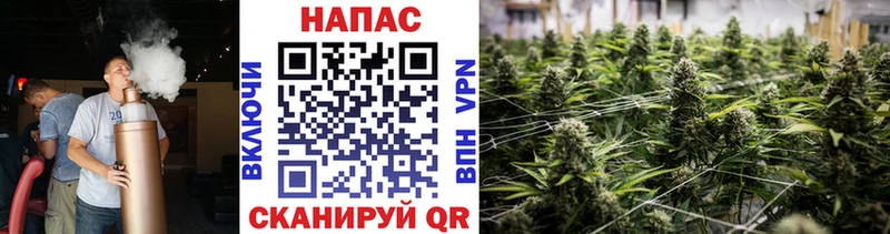 Каннабис конопля даркнет как зайти Любань